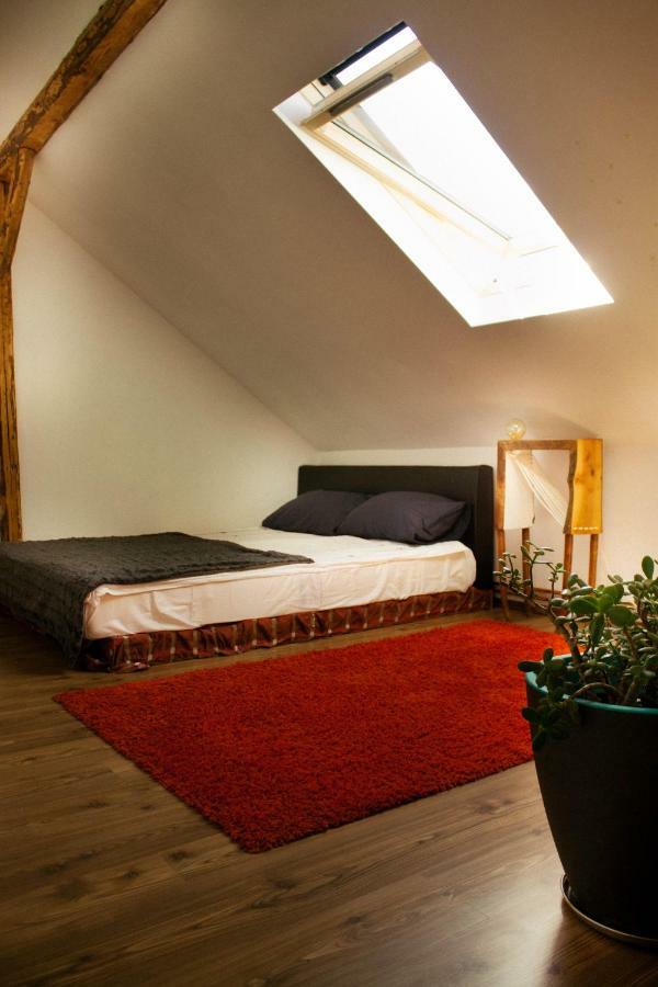 Cotton Loft Daire Alba Iulia Dış mekan fotoğraf